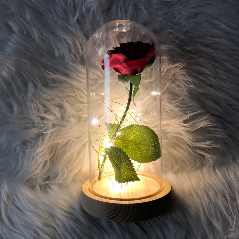 ✨NEW Rose Glass Light✨